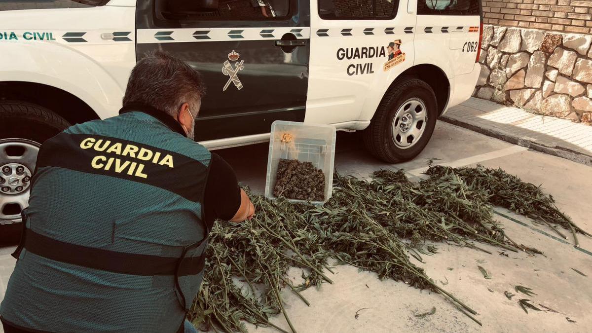 Detienen a un hombre en Palenciana por cultivar marihuana en su casa