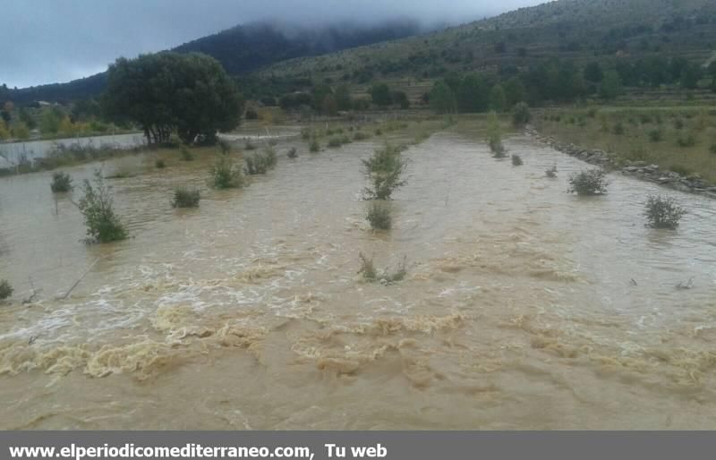 GALERÍA DE FOTOS -- Efectos de las tormentas en la provincia