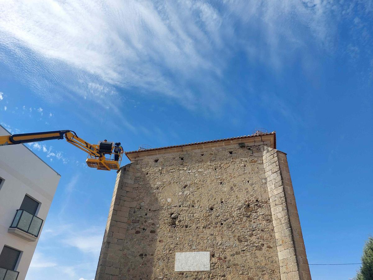 Los operarios colocan los nidos en forma  de cesta.