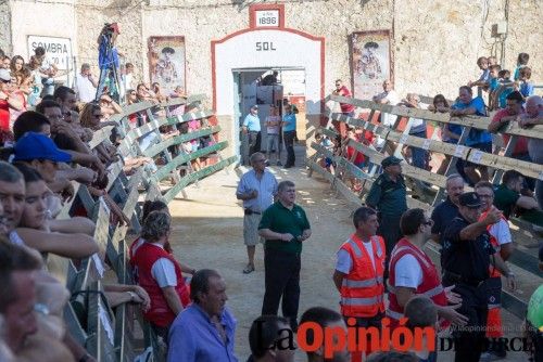 Segundo encierro de Calasparra 2014