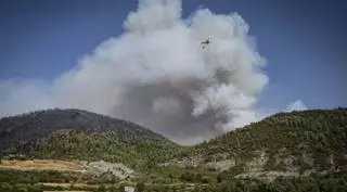 Les flames arrasen 4.200 hectàrees forestals a Osca