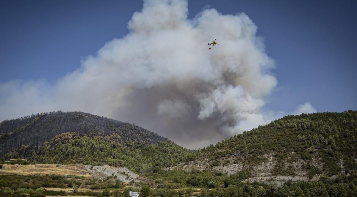 Les flames arrasen 4.200 hectàrees forestals a Osca