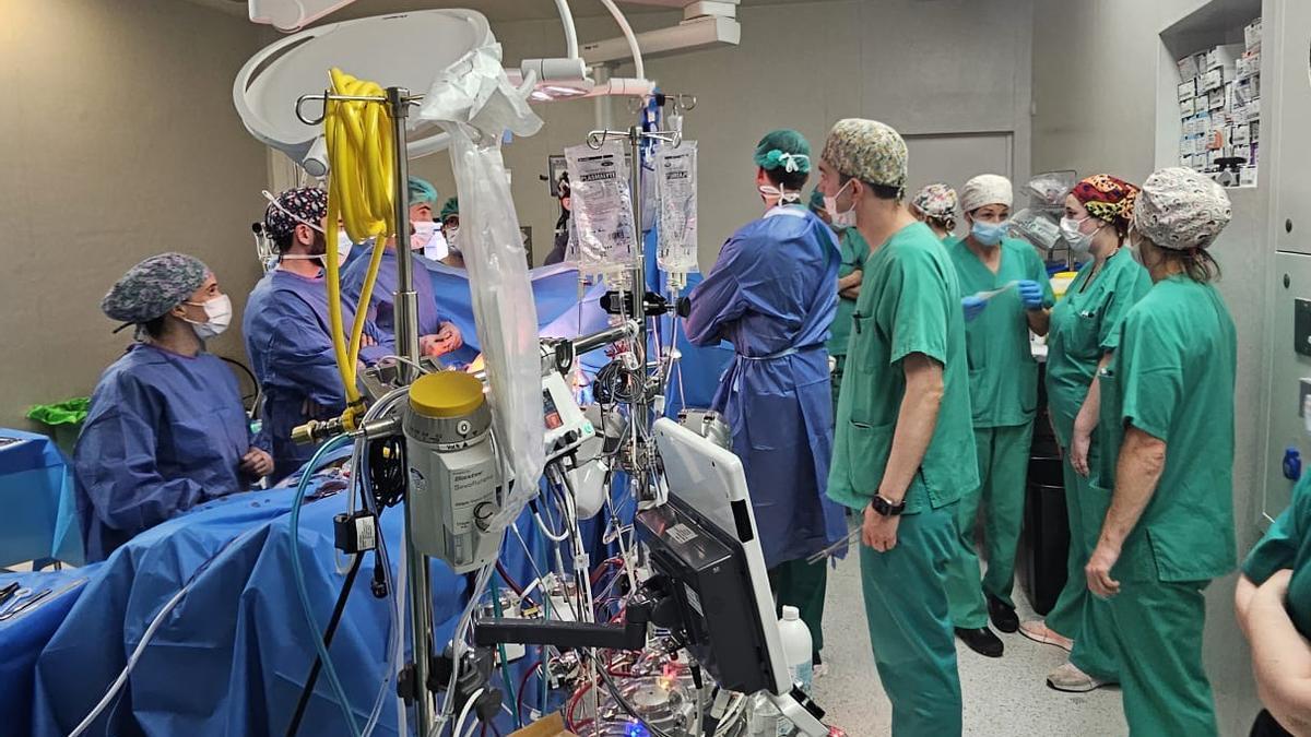 El grupo de explantes del Hospital de Dénia.