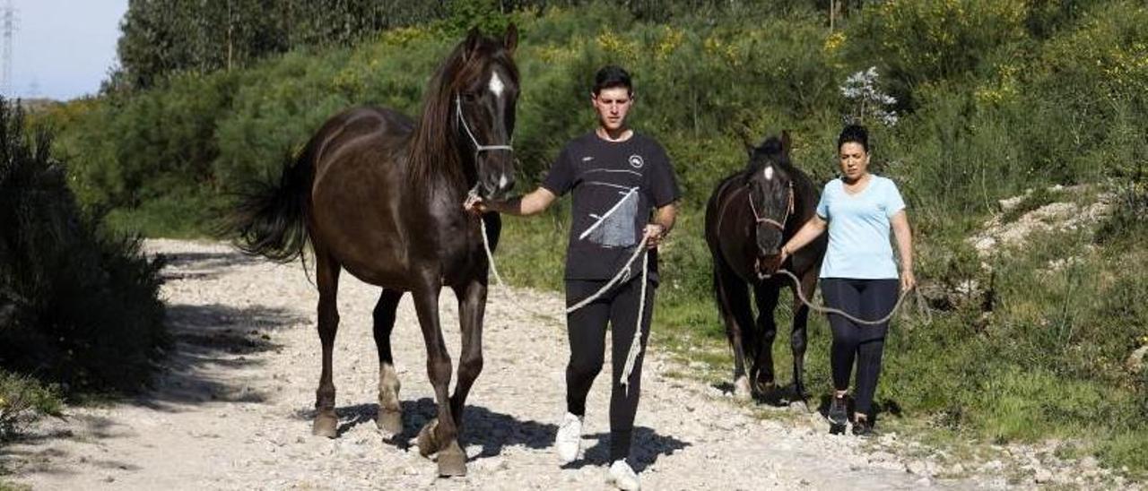 Paseo ayer con Dulcinea y Violeta, dos de las tres yeguas de Hípica Amazonas heridas en Ponte Caldelas en 2017, ya recuperadas.  // GUSTAVO SANTOS