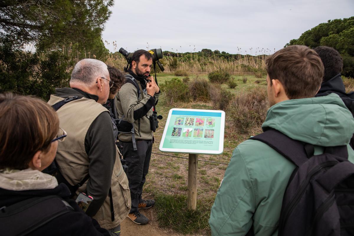 El Remolar-Filipines, humedales de la desembocadura del rio Llobregat