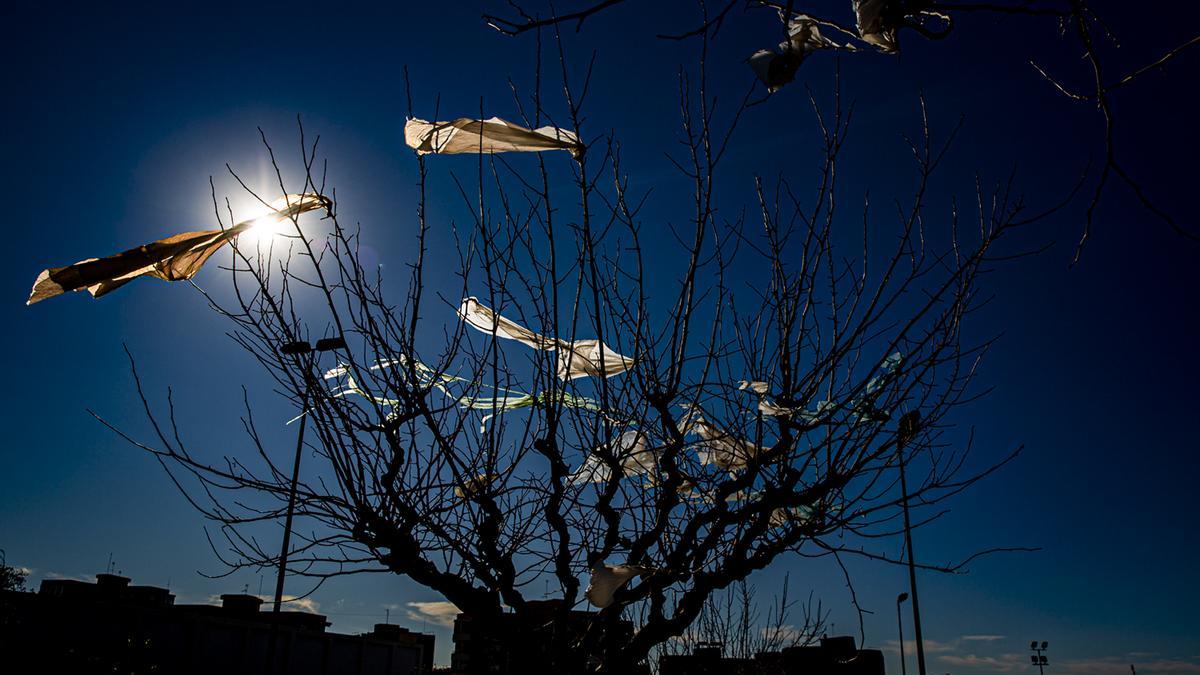05/01/21. La nueva "flor" invasora. Un árbol junto al mercadillo de la calle Teulada con plásticos entre sus ramas