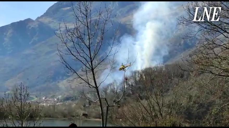 Incendio cerca del pantano de Rioseco