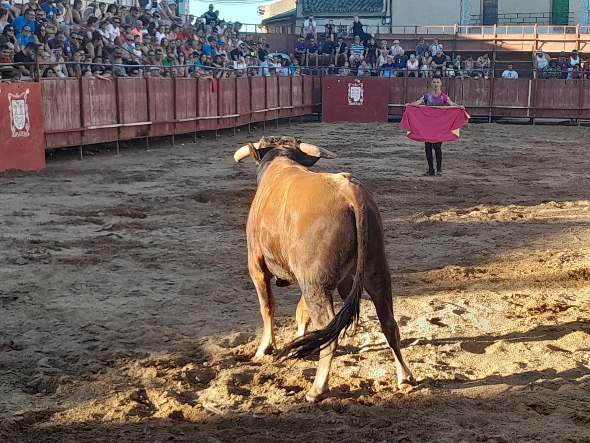 GALERÍA | Exhibición de cortes, quiebros y saltos en Morales de Toro