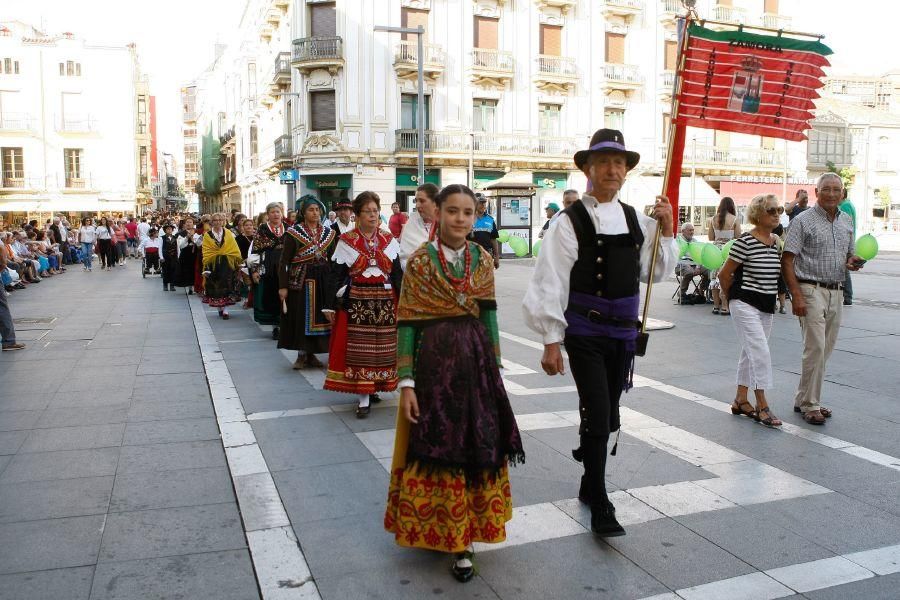 San Pedro 2016: Los trajes regionales toman Zamora