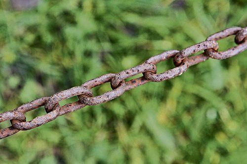 Eindrücke vom Wegrand beim Insel-Spaziergang