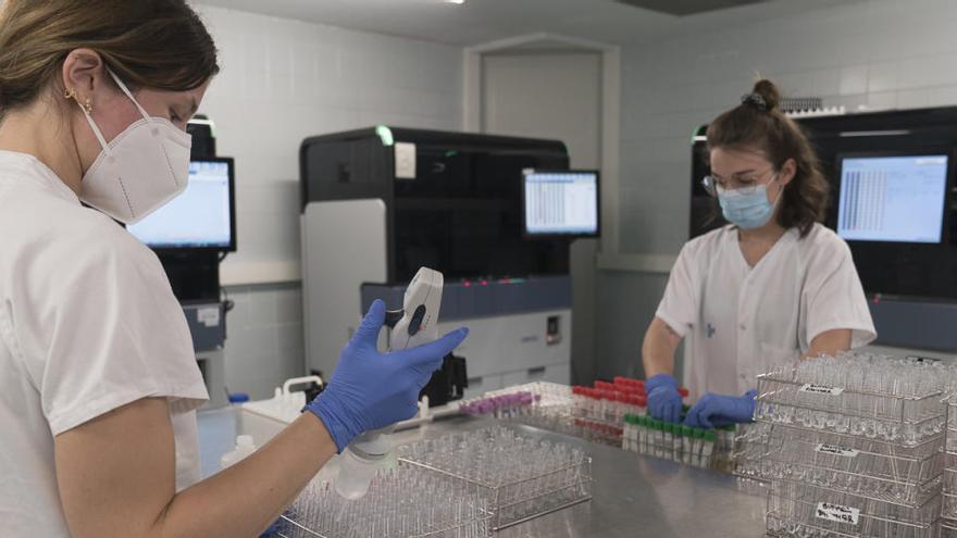 Imatge de personal de laboratori analitzant les proves PCR