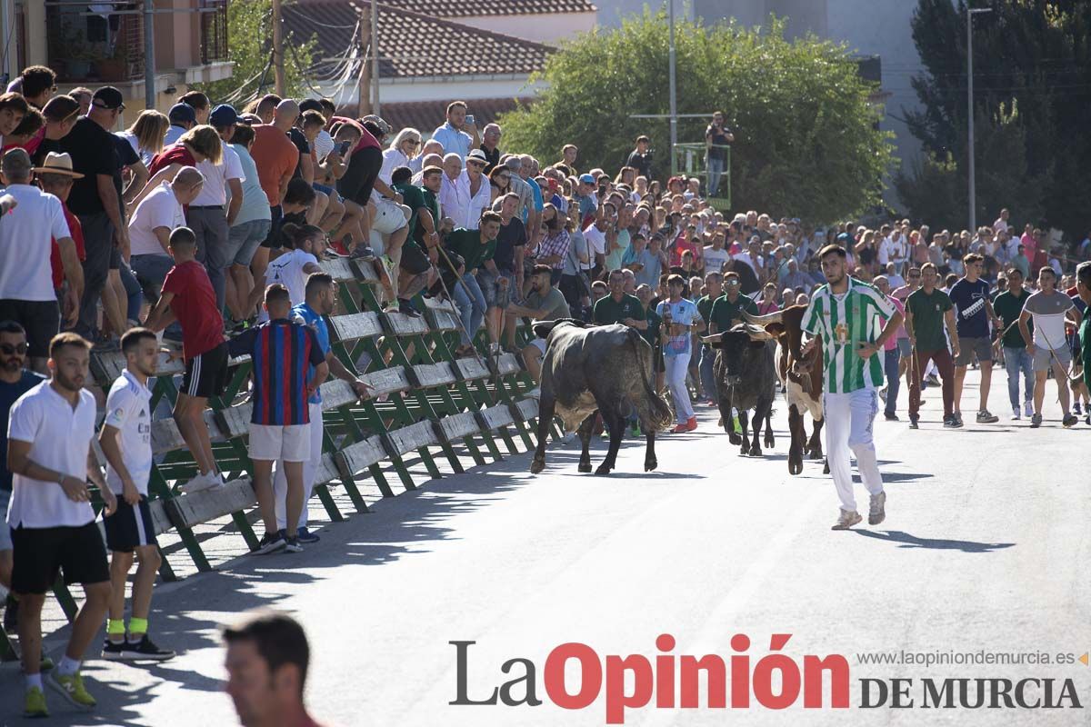 Tercer encierro Feria del Arroz en Calasparra