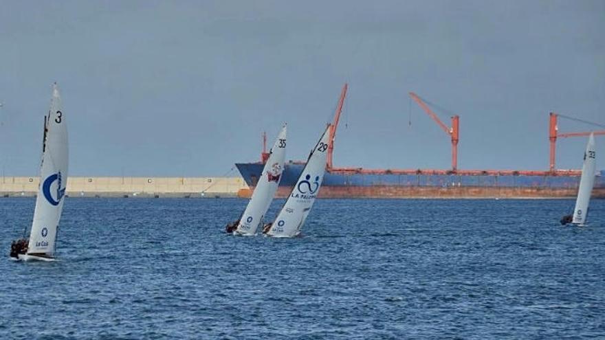 Botes de vela latina durante una prueba en Las Palmas de Gran Canaria.