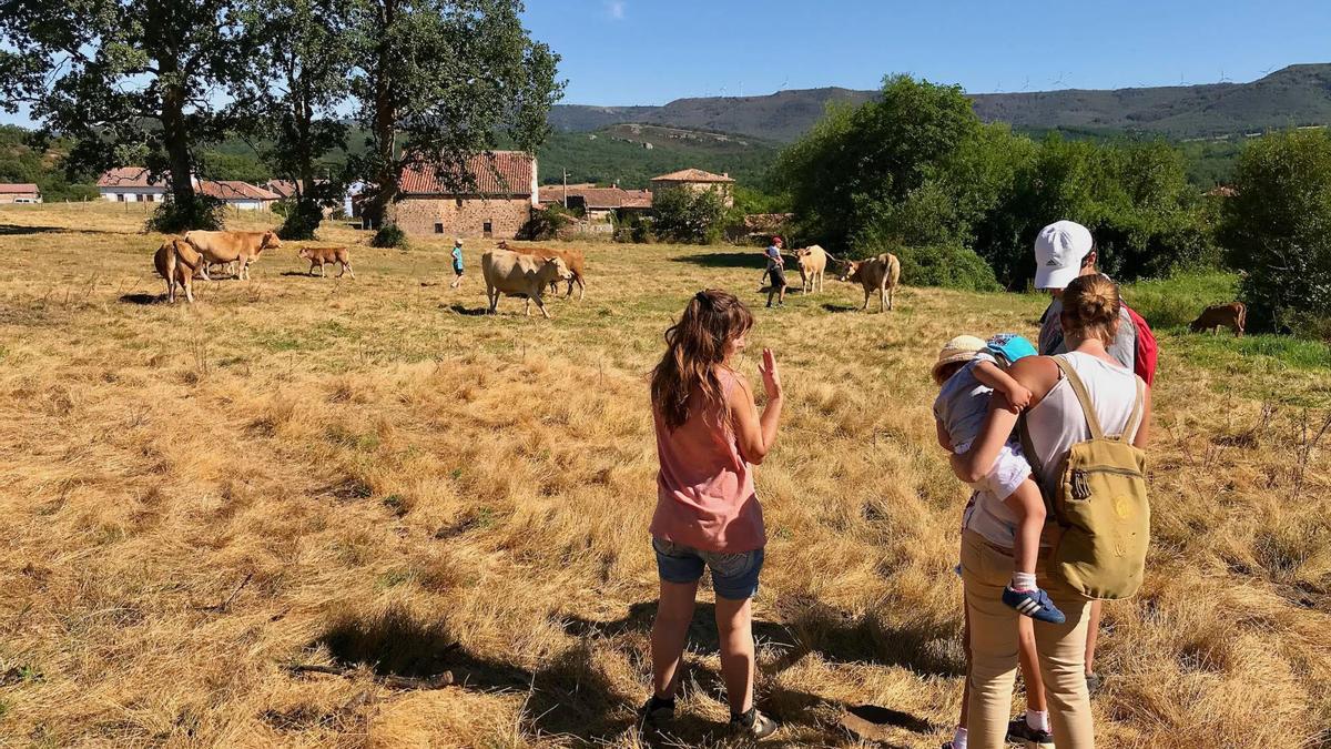 Beatriz Argüeso (izquierda), es ganadera en la finca Casa La Pastiza. (Valderredible-Cantabria)