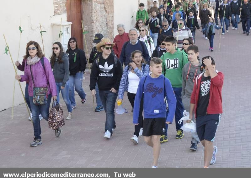 GALERÍA DE FOTOS - Romería Magdalena 2014 (2)