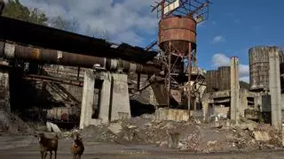 Descontaminar la mina de mercurio de El Tarronal costará 5,2 millones de euros