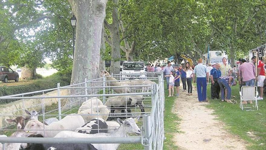 Albocàsser se muestra fiel a su tradición agrícola con su histórica feria de maquinaria