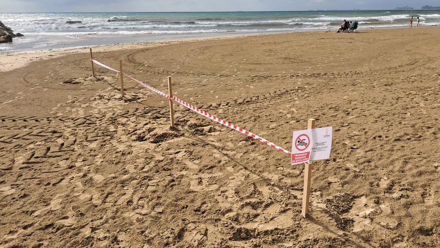 Cierran las playas de Alboraia y Meliana por contaminación