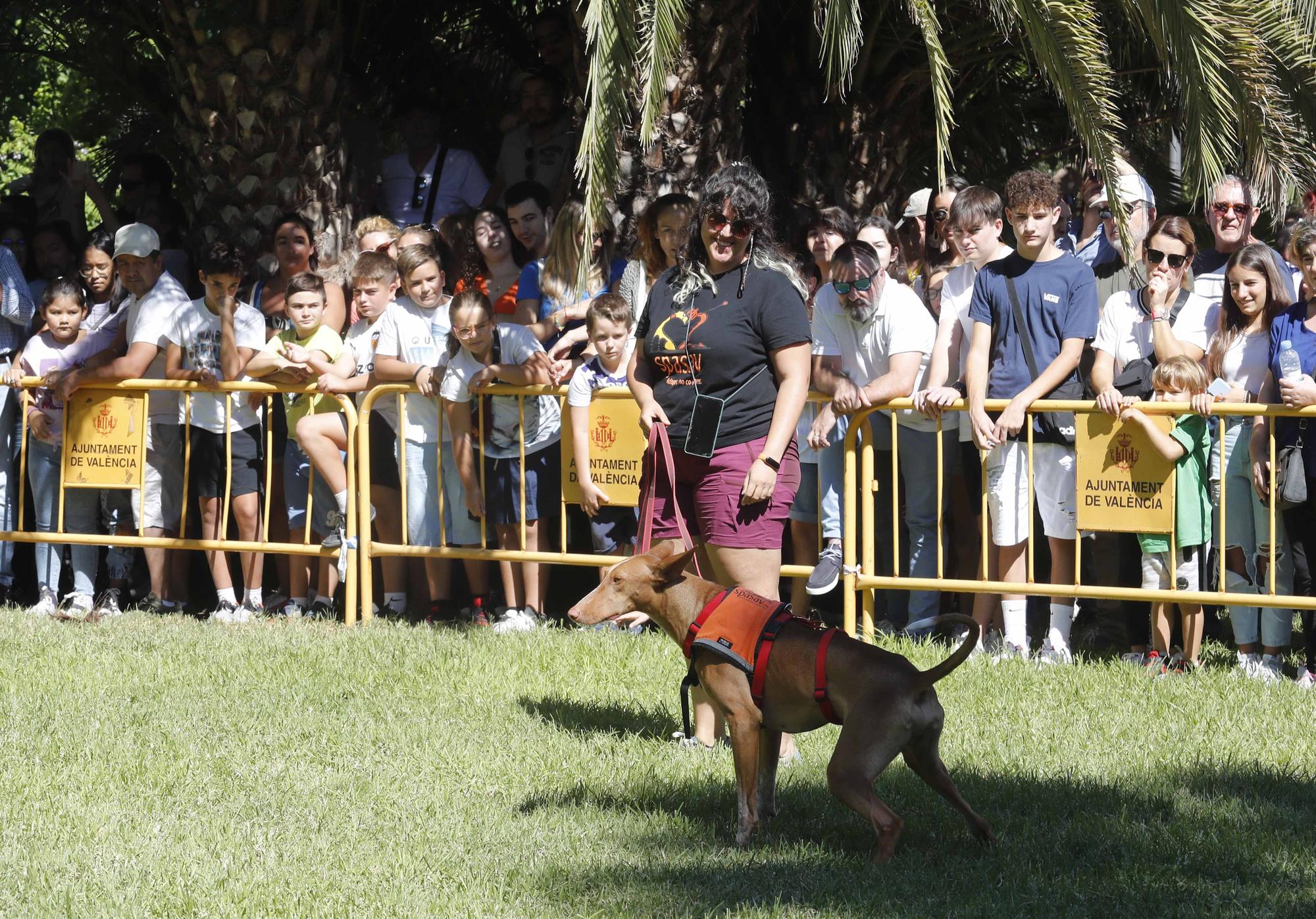 La Feria Animalista de València, en imágenes