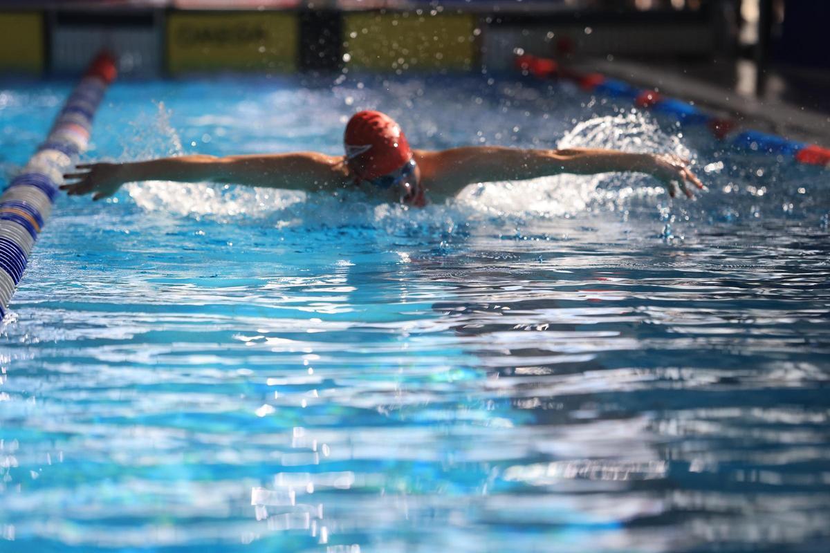 Galería: Lo mejor del fin de semana en el Campeonato de España de Natación Máster celebrado en Castelló Galería: Lo mejor del fin de semana en el Campeonato de España de Natación Máster celebrado en Castelló
