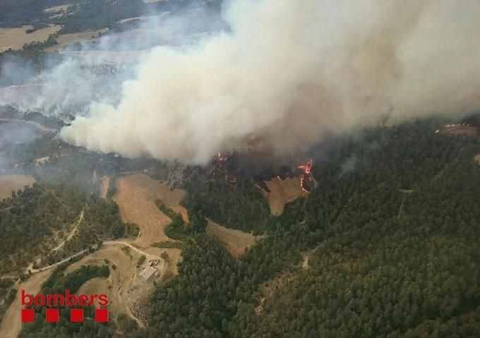 Incendi forestal a Sant Feliu Sasserra