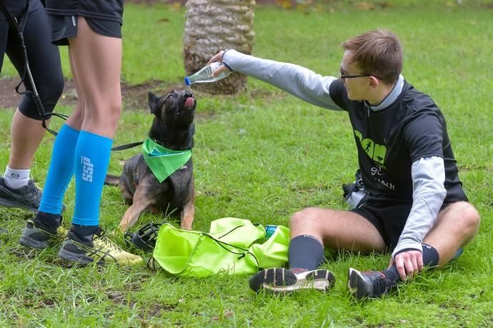 14-12-2019 LAS PALMAS DE GRAN CANARIA. Carrera de perros Can We Run, en el Parque Romano. Fotógrafo: ANDRES CRUZ  | 14/12/2019 | Fotógrafo: Andrés Cruz