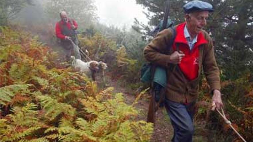 Tres colectivos extremeños alertan del aumento de riesgo de accidentes en las cacerías