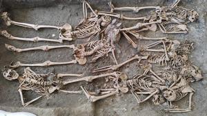 Exhuman en Víznar los restos de personas ejecutadas de disparos en la cabeza