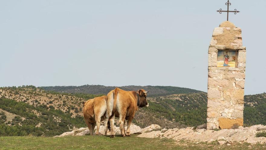 Cinco rutas para descubrir Castellón en Semana Santa