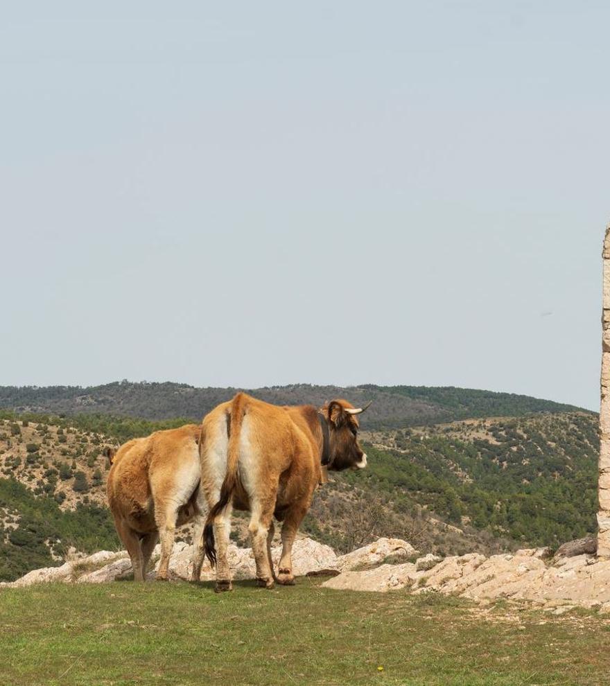 Cinco rutas para descubrir Castellón en Semana Santa