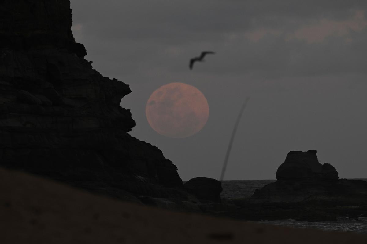 La luna llena de noviembre 2022 llega con eclipse lunar