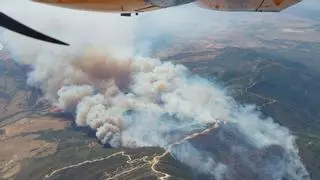 Un fuerte viento de Levante agrava un incendio forestal en Tarifa, con 17 medios aéreos desplegados