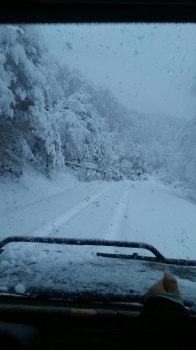 Neu a la Catalunya Central