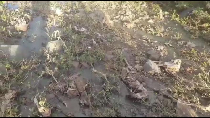 Aguas fecales en el barranco de Guayadeque