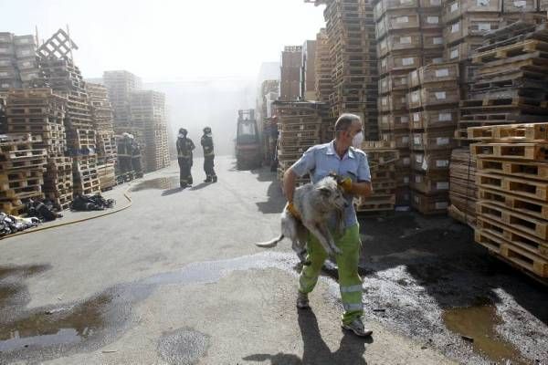 Incendio en una fábrica de Miralbueno