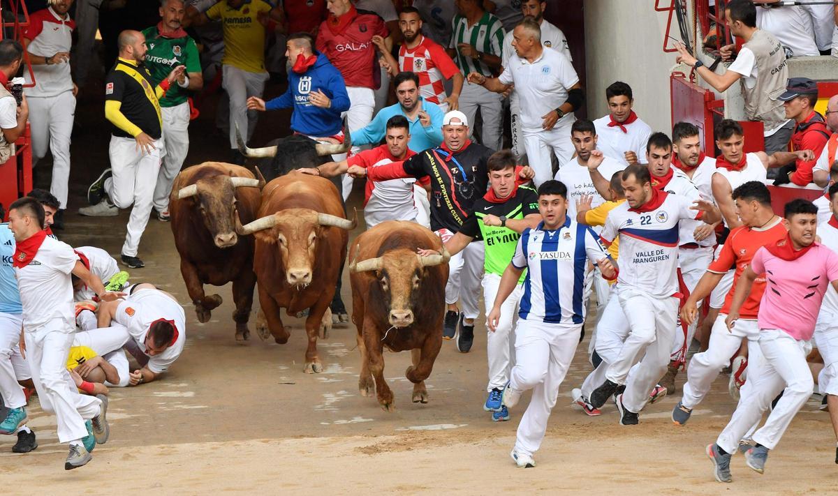 Los toros de Domingo Hernández Martín debutan con la carrera más veloz de este 2024