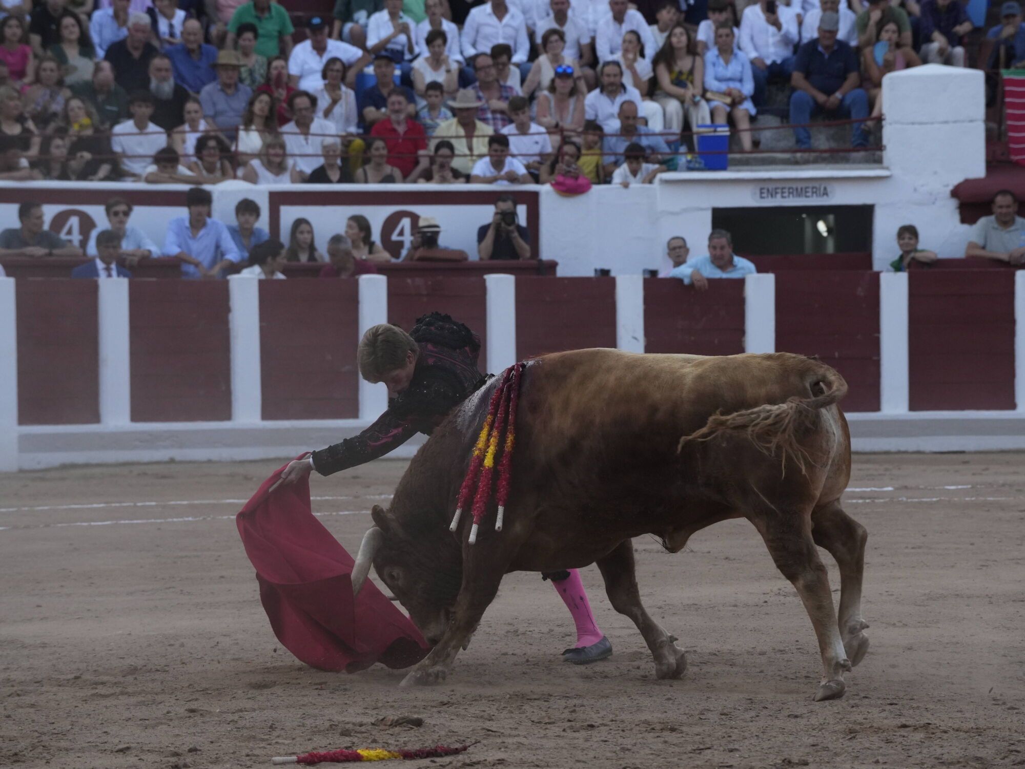 Las mejores imágenes de la feria taurina de San Pedro en Zamora.