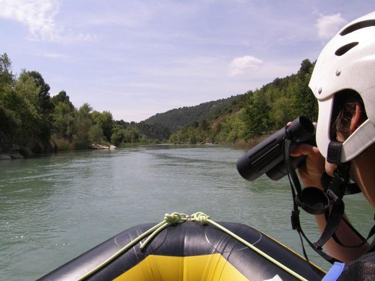 Descenso ornitológico en el río Gállego