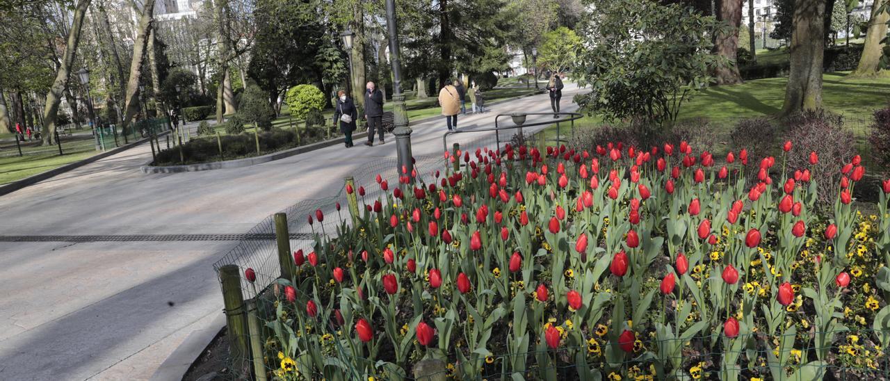 El Campo San Francisco.