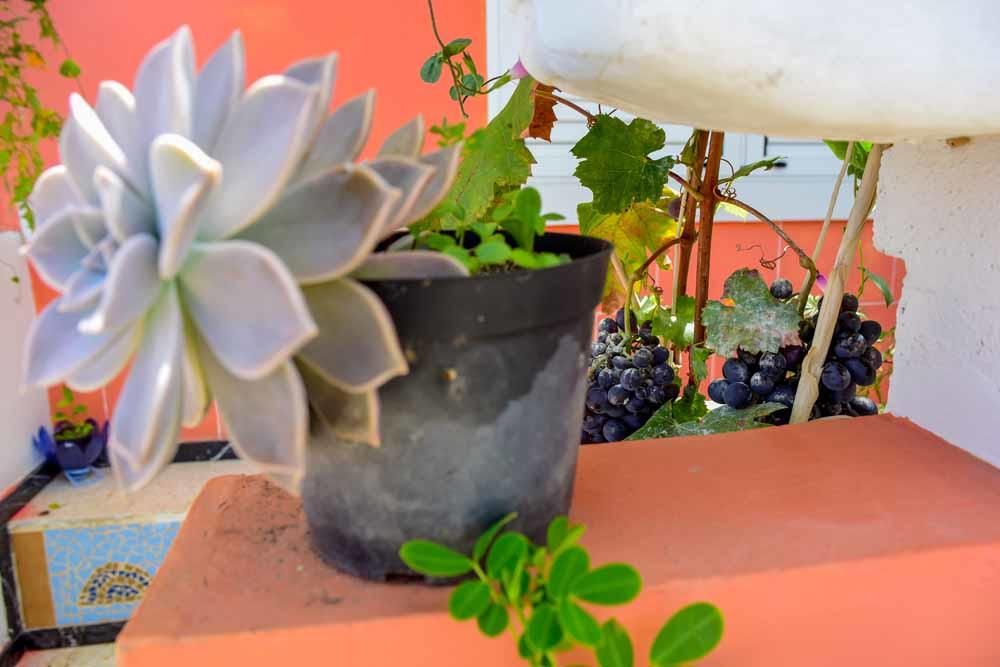 Dentro verano: Barrio de Escaleritas (Bañaderos)