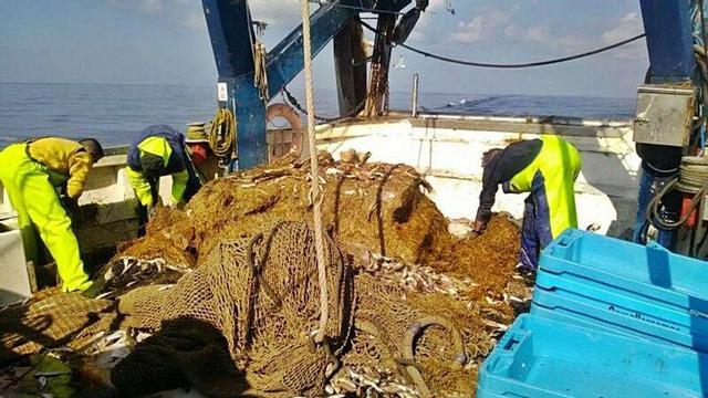 Pescadores del Montgó, de Alcúdia, retiran paja de sus redes el pasado jueves.