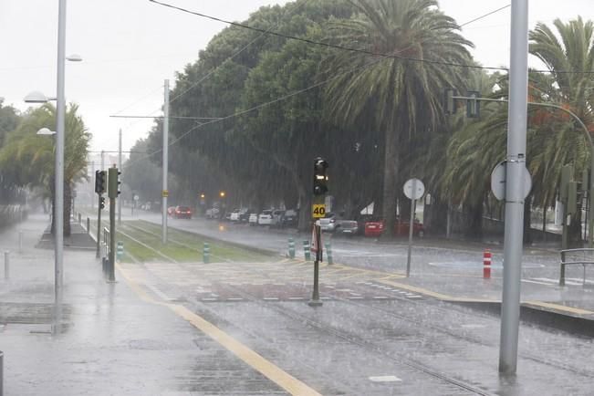 Delia Padrón lluvias , temporal , barrancos ...