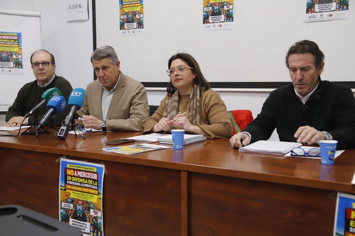 Las orgnizaciones agrarias cordobesas informan de la próxima concentración ‘No a Mercosur. En Defensa de la Soberanía Alimentaria. Por una PAC más fuerte’. Intervienen: presidente de Asaja Córdoba, Fernando Adell; presidente de Cooperativas Agroalimentarias de Córdoba, Rafael Sánchez de Puerta; secretaria general COAG Córdoba, Carmen Quintero; secretario general de UPA Córdoba, Francisco Moreno