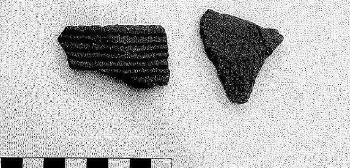 La colección arqueológica hallada en la basura suma 600 piezas de "evidente interés" histórico