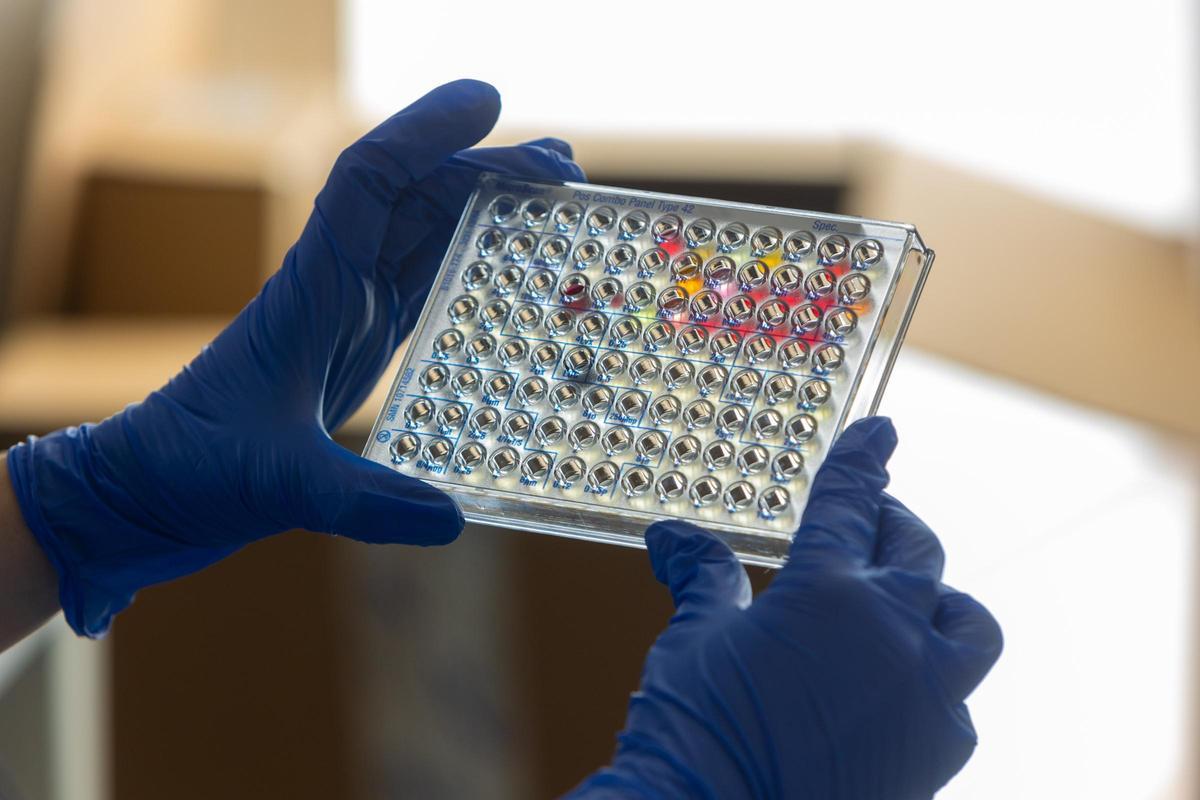 Investigación en virus y bacterias Investigación en virus y bacterias