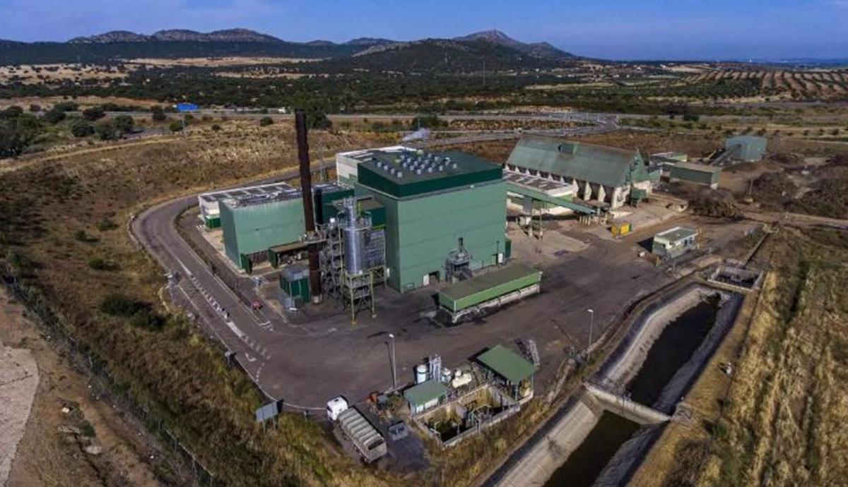 Icosium, accionista de referència d’Holaluz, licita per Neoelectra