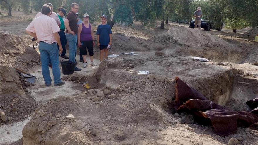Primeros trabajos para localizar una fosa con 30 víctimas en un olivar de Castro del Río