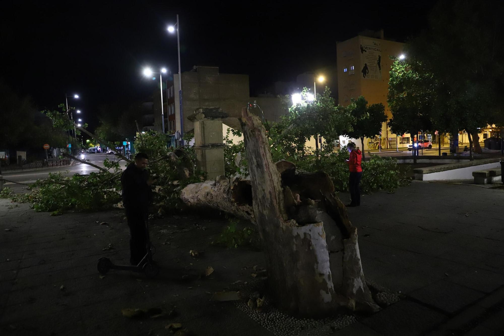 Los efectos del temporal en Córdoba, en imágenes