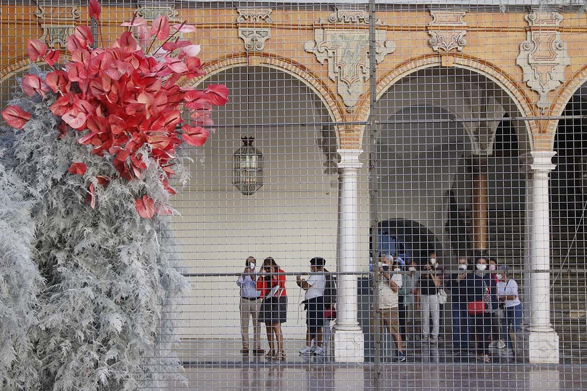 Instalación floral de Diputación