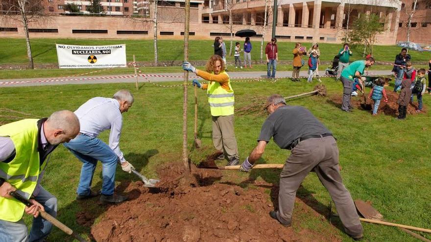 Plantación de cerezos en el parque fluvial del Piles al mediodía de ayer.